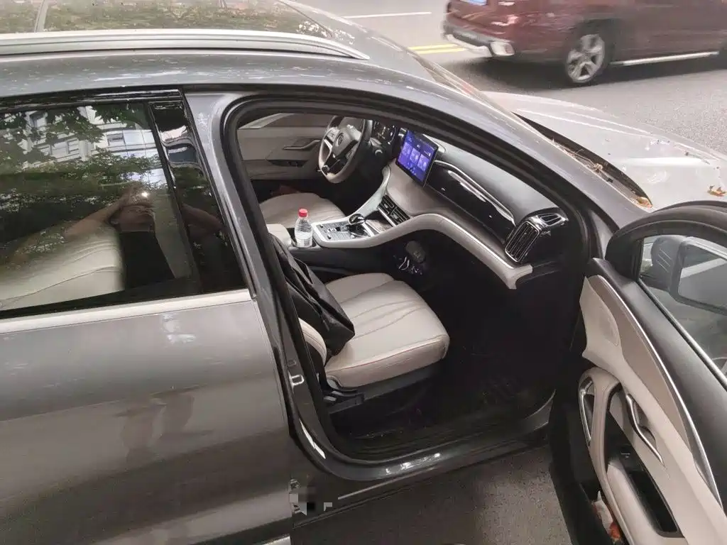 BYD Pro New Energy — миниатюра 19
