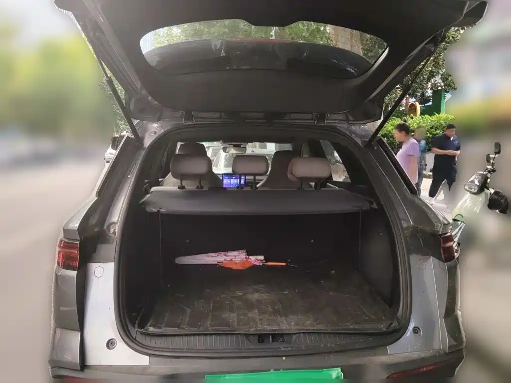 BYD Pro New Energy — миниатюра 15