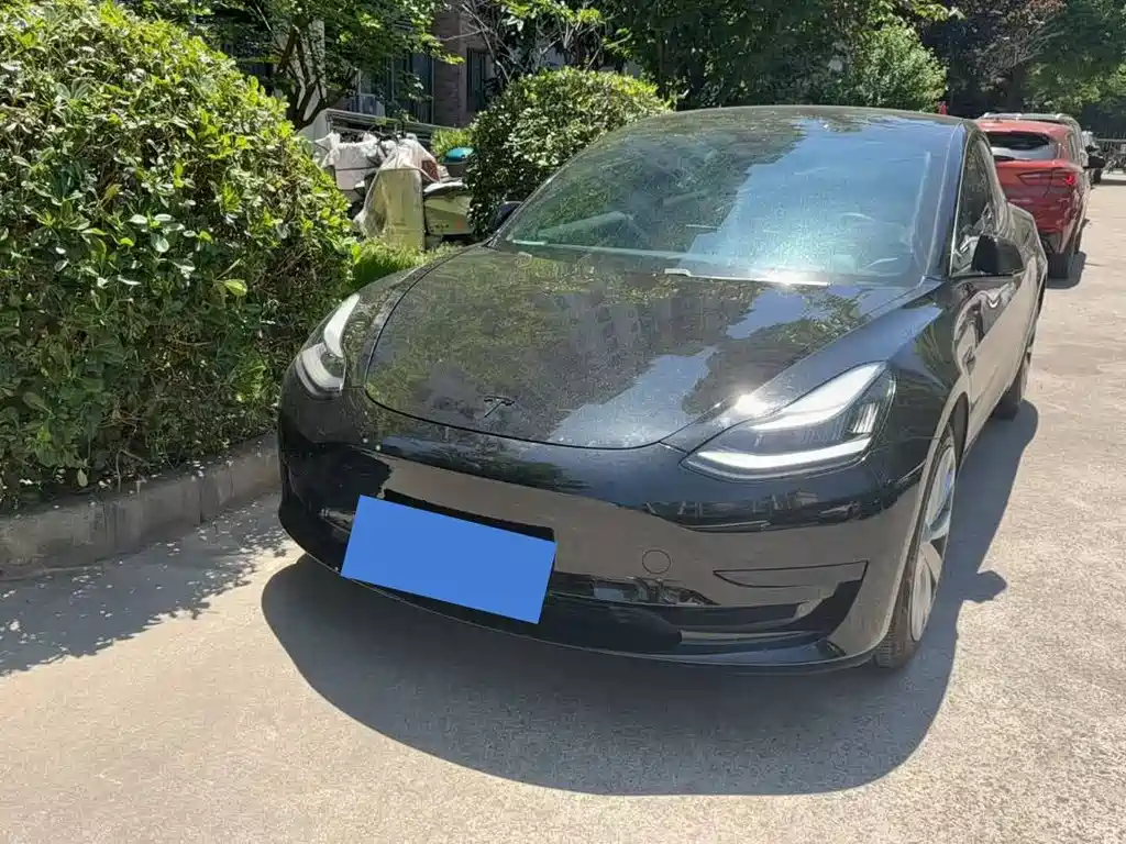 Tesla Model 3 2020