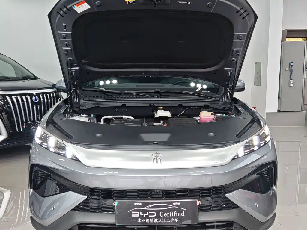 BYD Pro New Energy — миниатюра 2