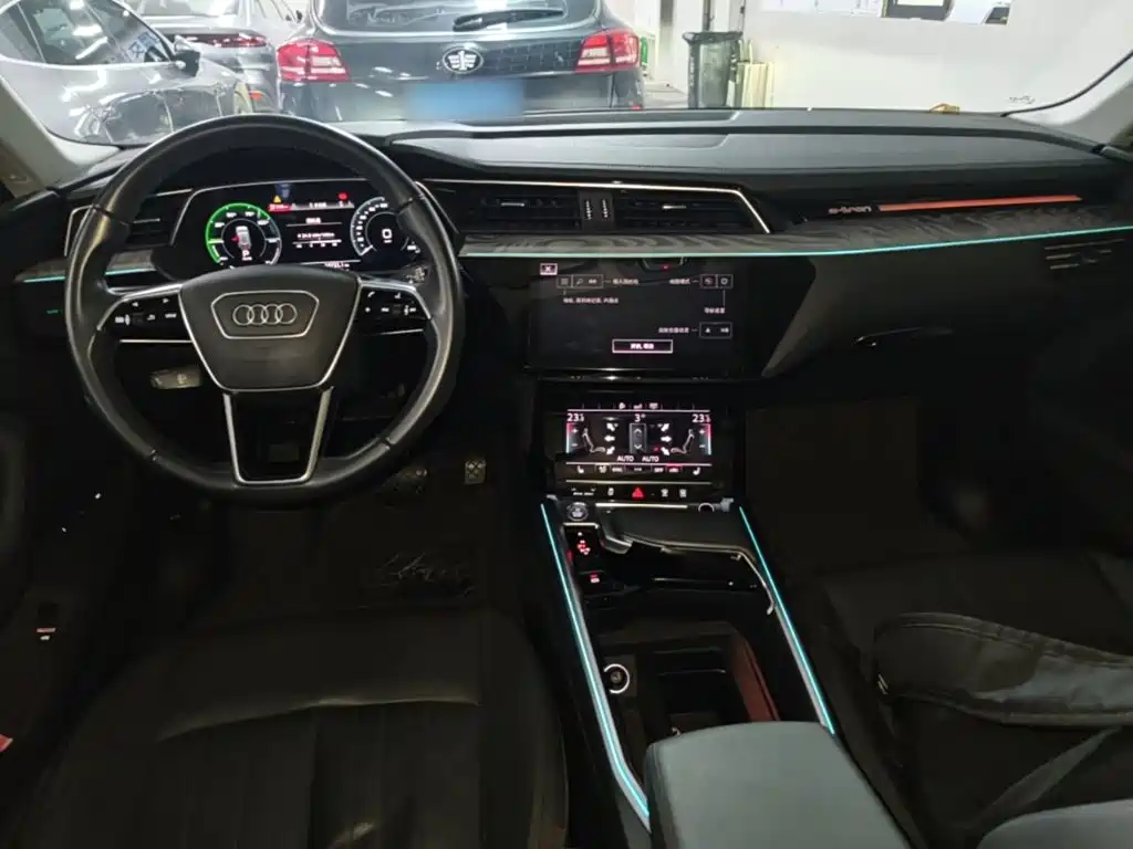 Audi e-tron (Import) — миниатюра 10