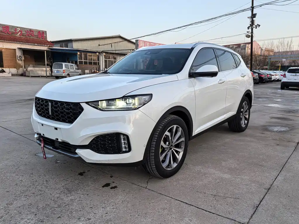Wey Wey VV6 2018
