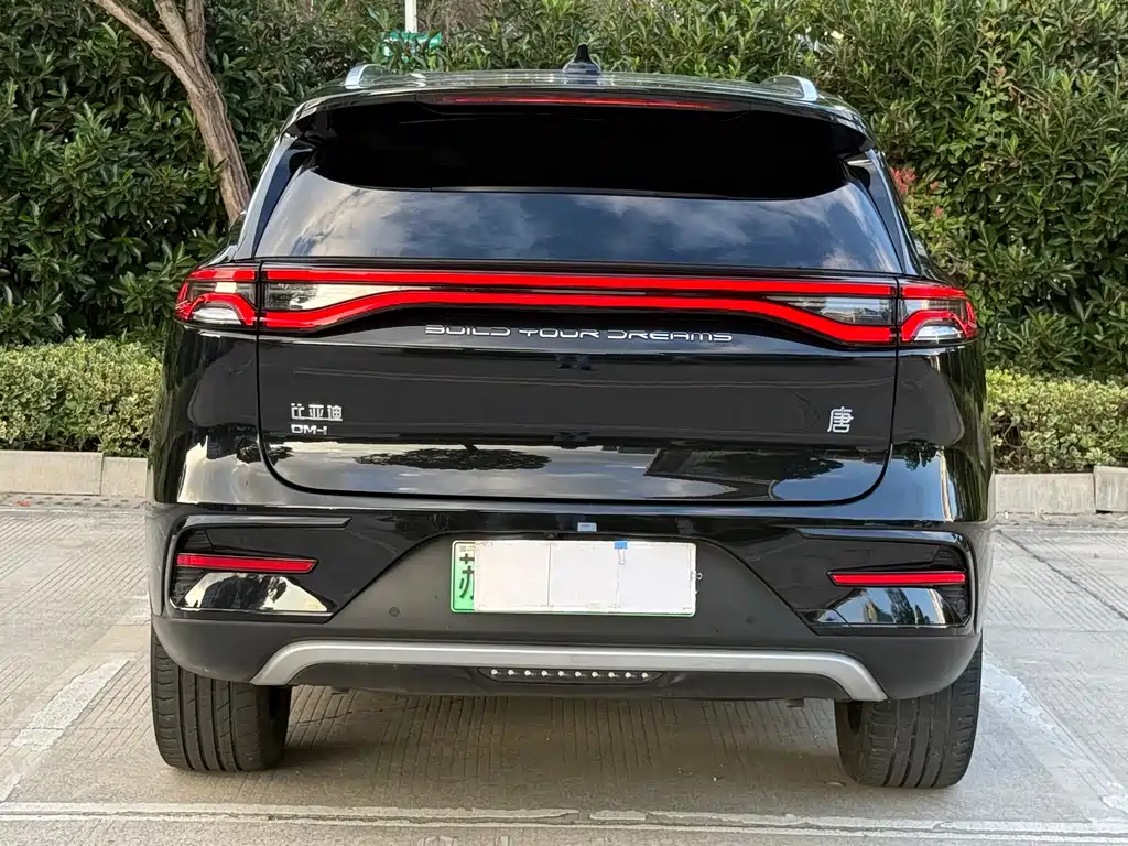 BYD Tang New Energy — миниатюра 4