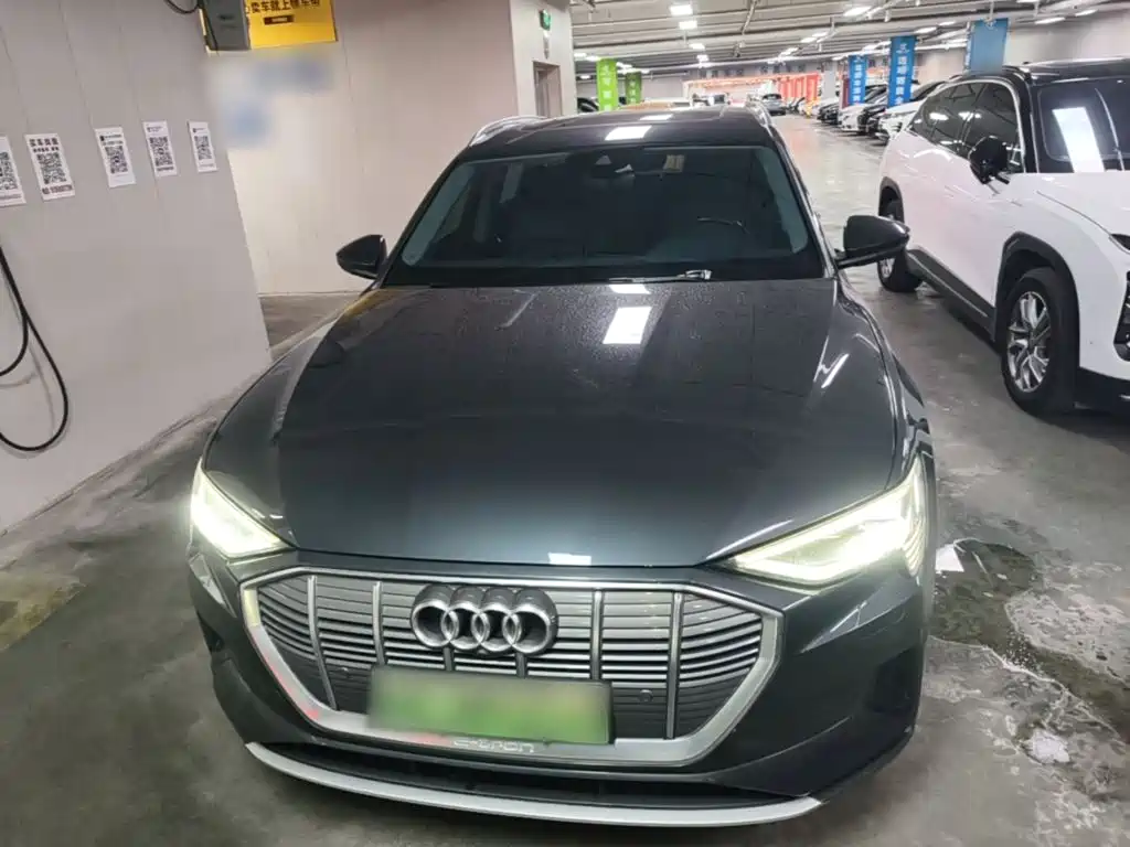Audi e-tron (Import) — миниатюра 3