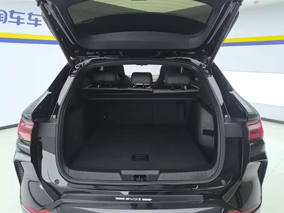 BYD SONGJIANG NEW ENERGY