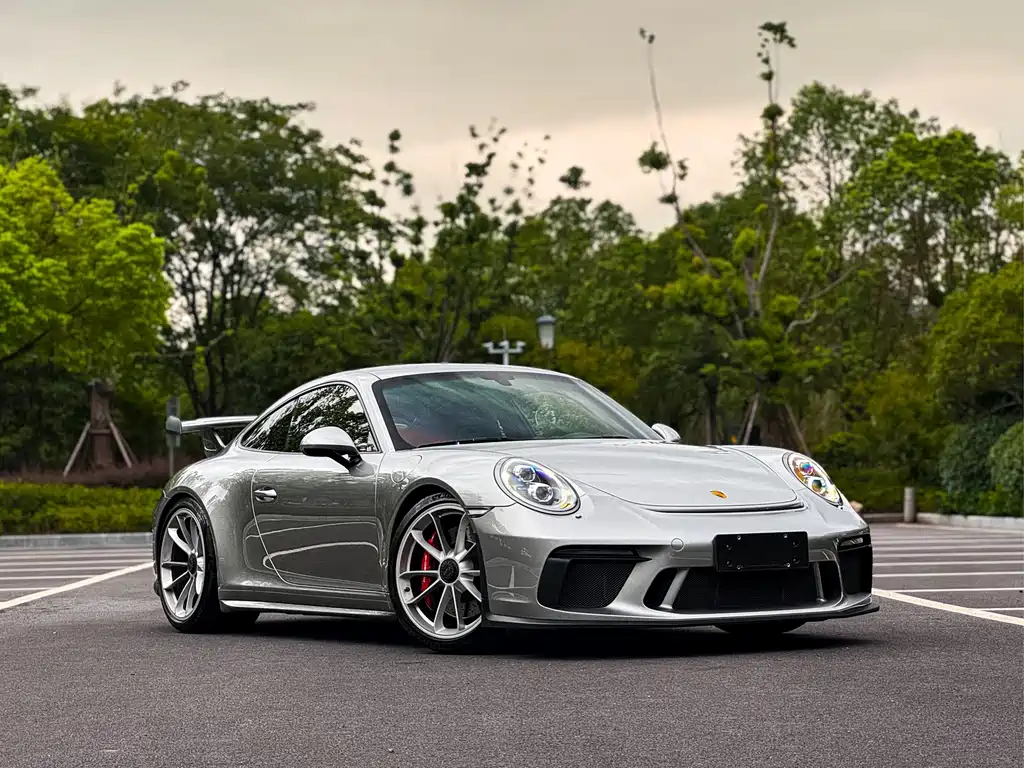 Porsche 911 — миниатюра 23