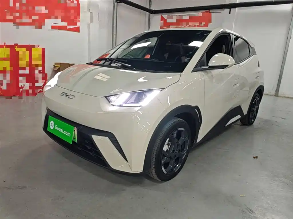Byd Seagull 2025