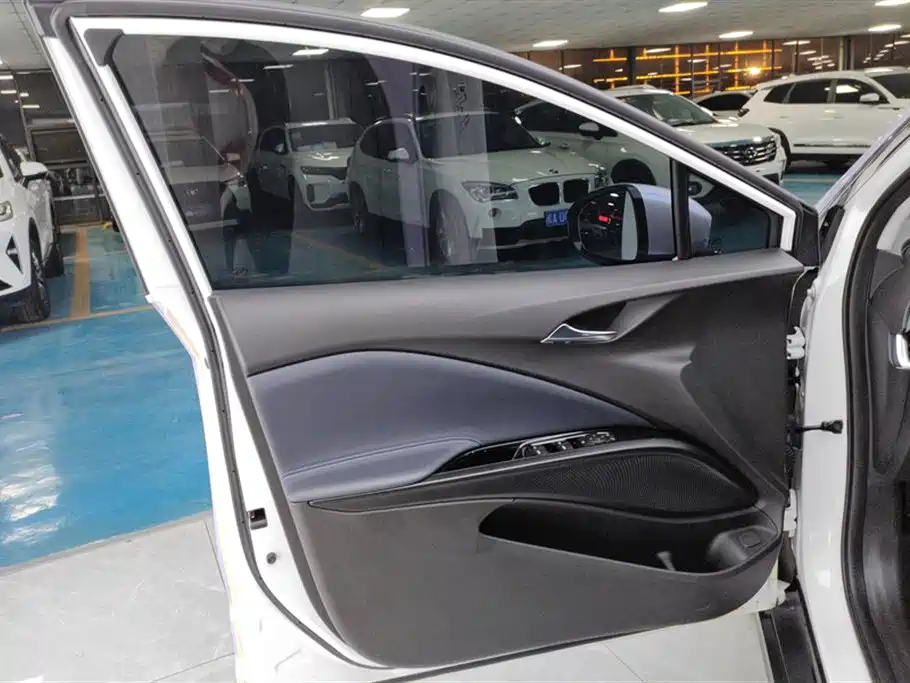 BUICK SLIGHTLY BLUE 6