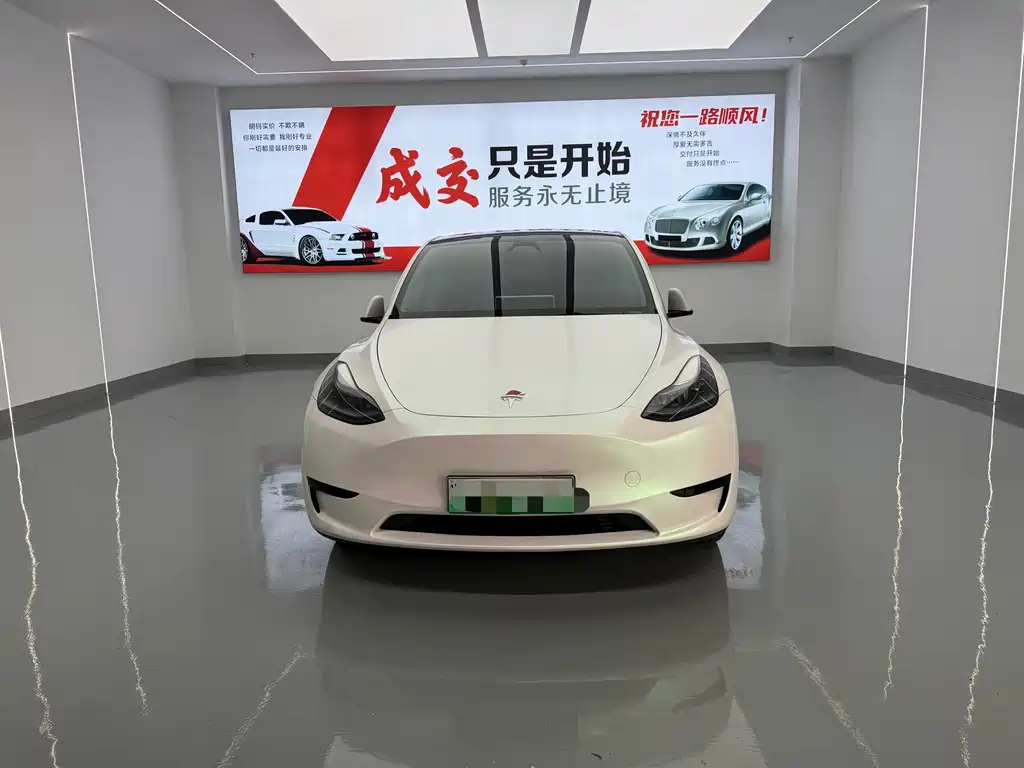 Tesla Model Y — миниатюра 2