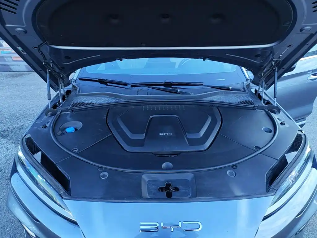 BYD PLUS New Energy — миниатюра 20