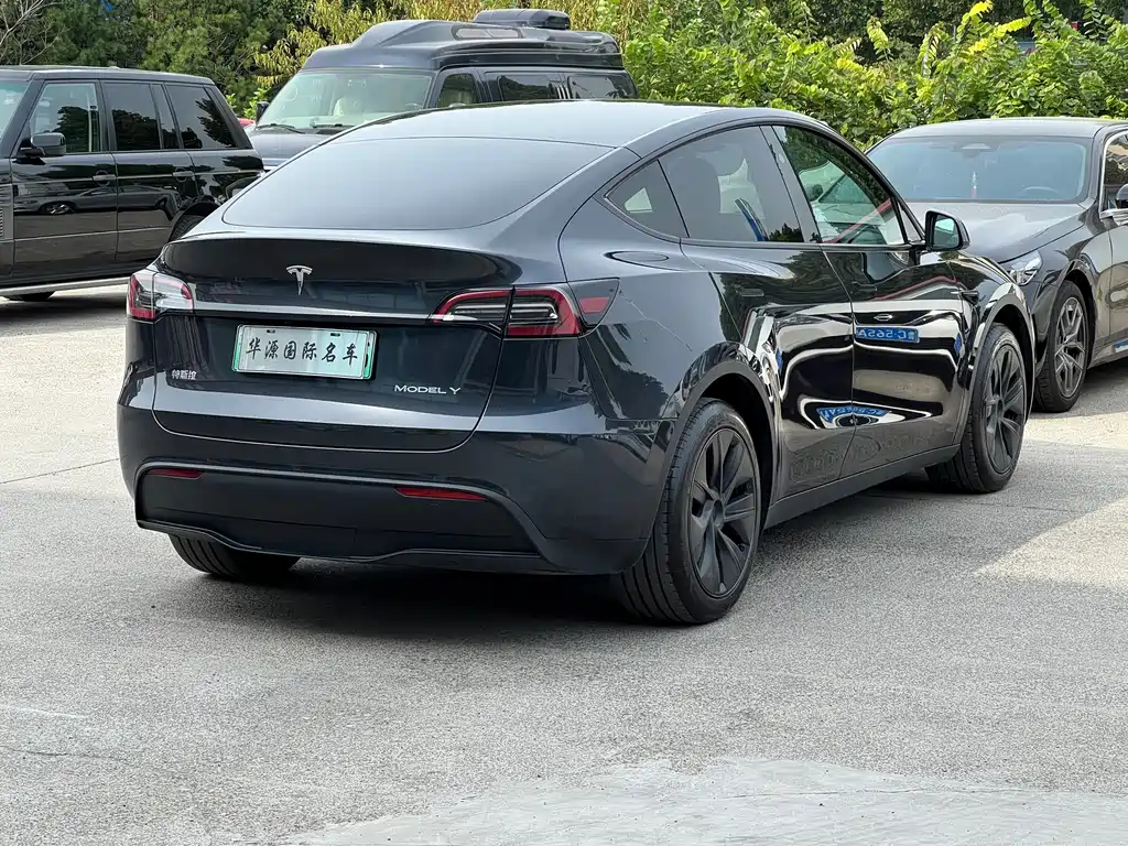 Tesla Model Y — миниатюра 15