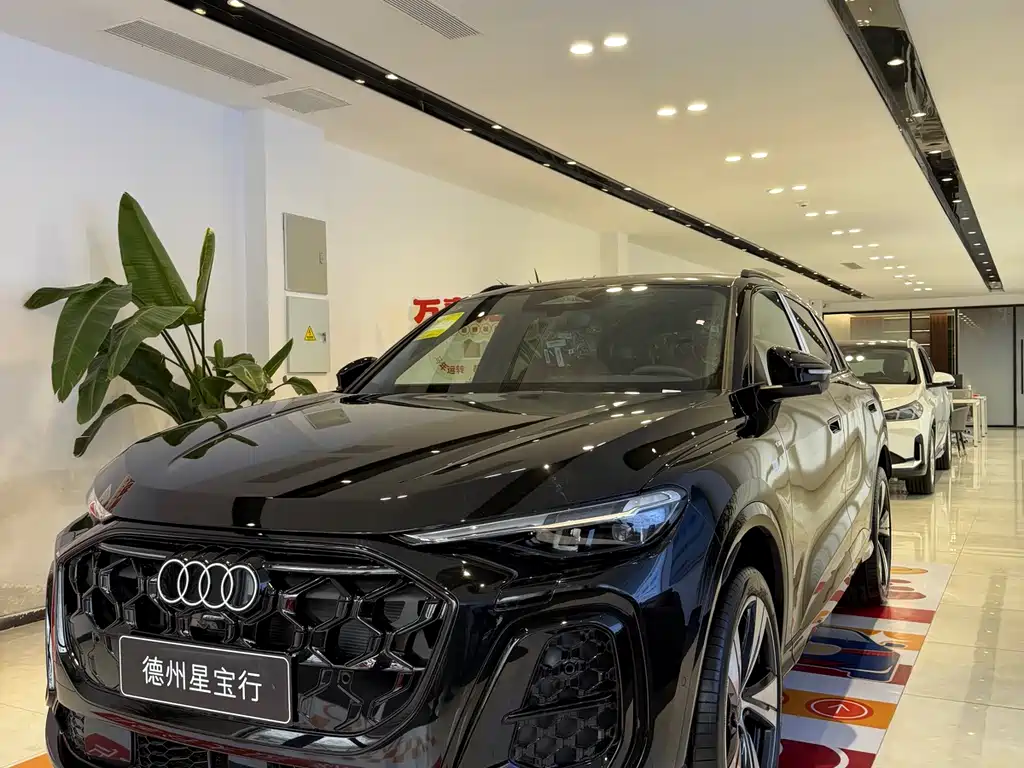 Audi Q5L 0