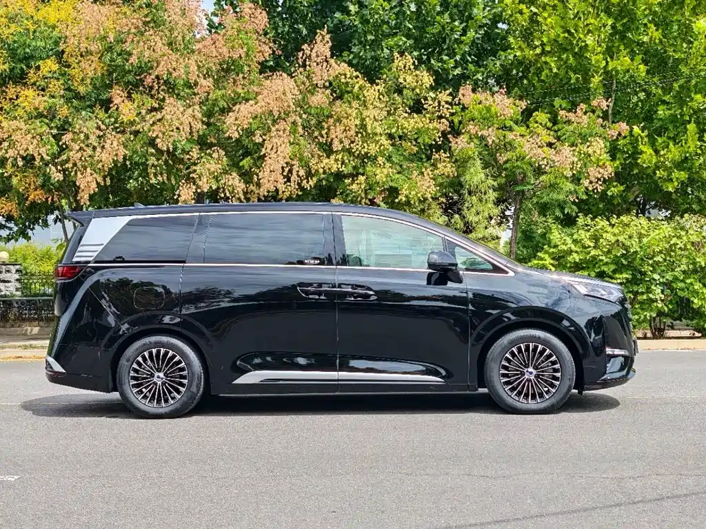 Denza Denza D9 — миниатюра 12