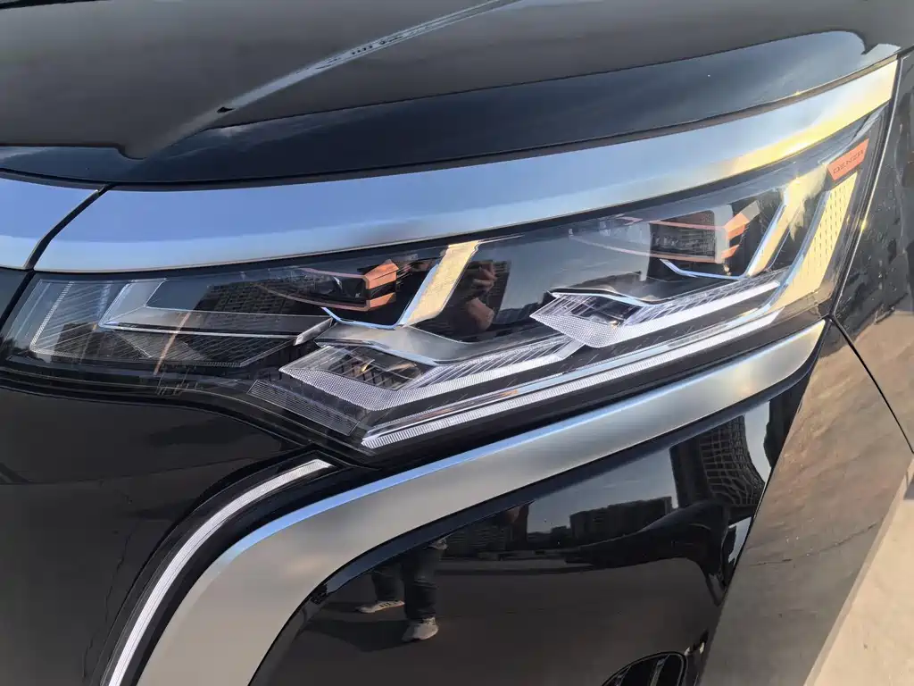 Denza Denza D9 — миниатюра 5