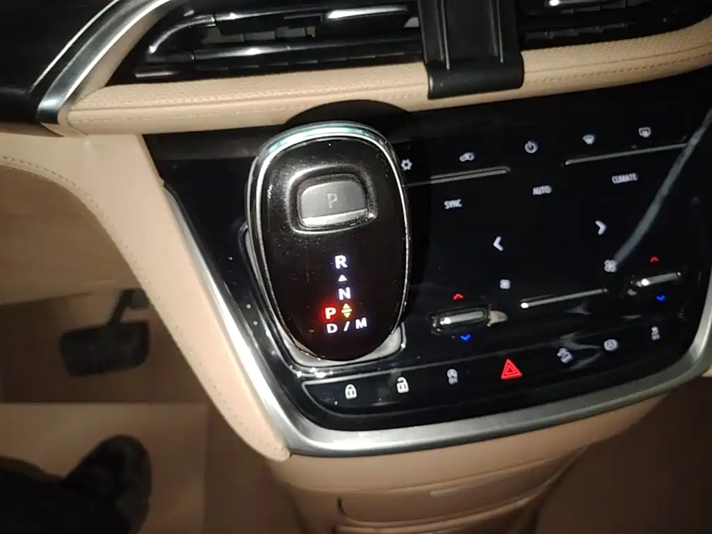Buick GL8 — миниатюра 14