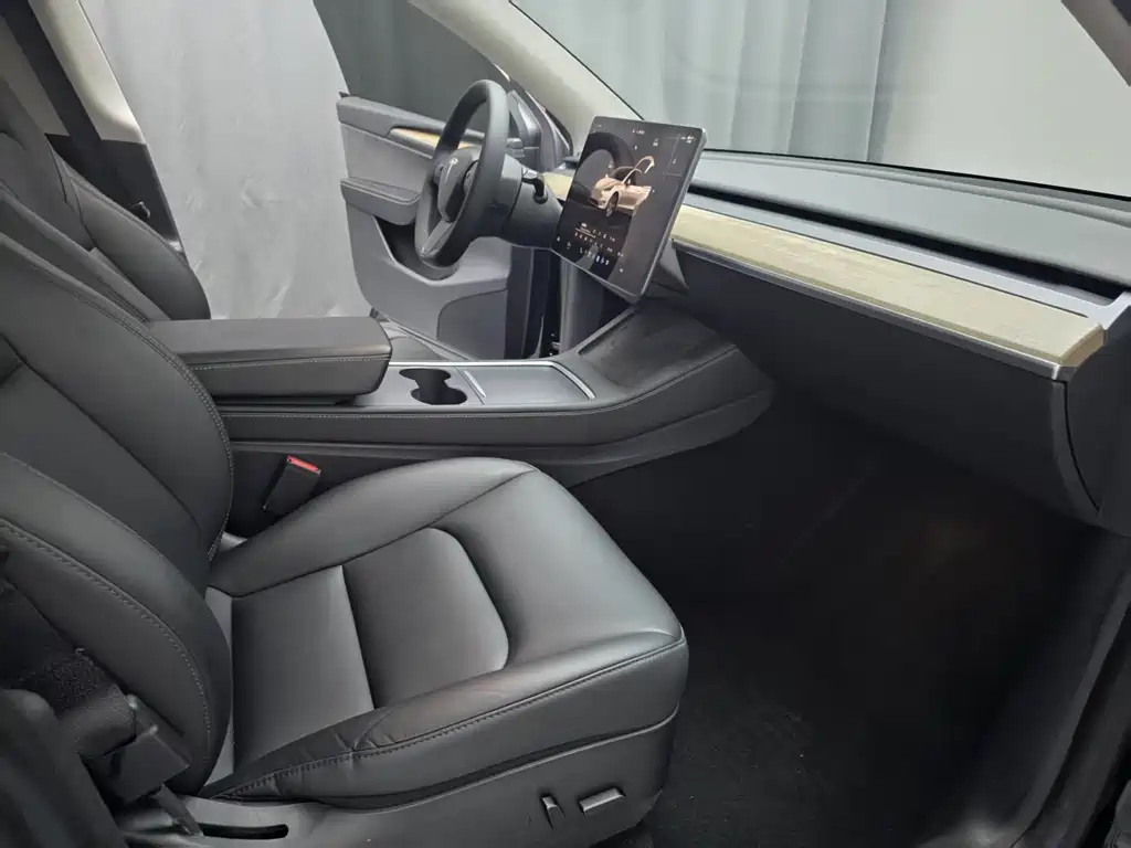 Tesla Model Y — миниатюра 7