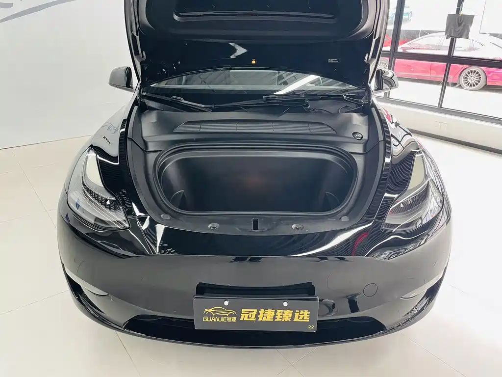 Tesla Model Y — миниатюра 2
