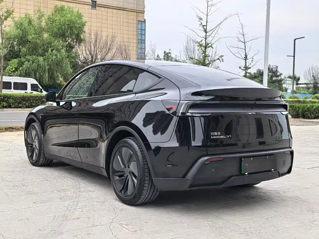 Tesla Model Y — миниатюра 7