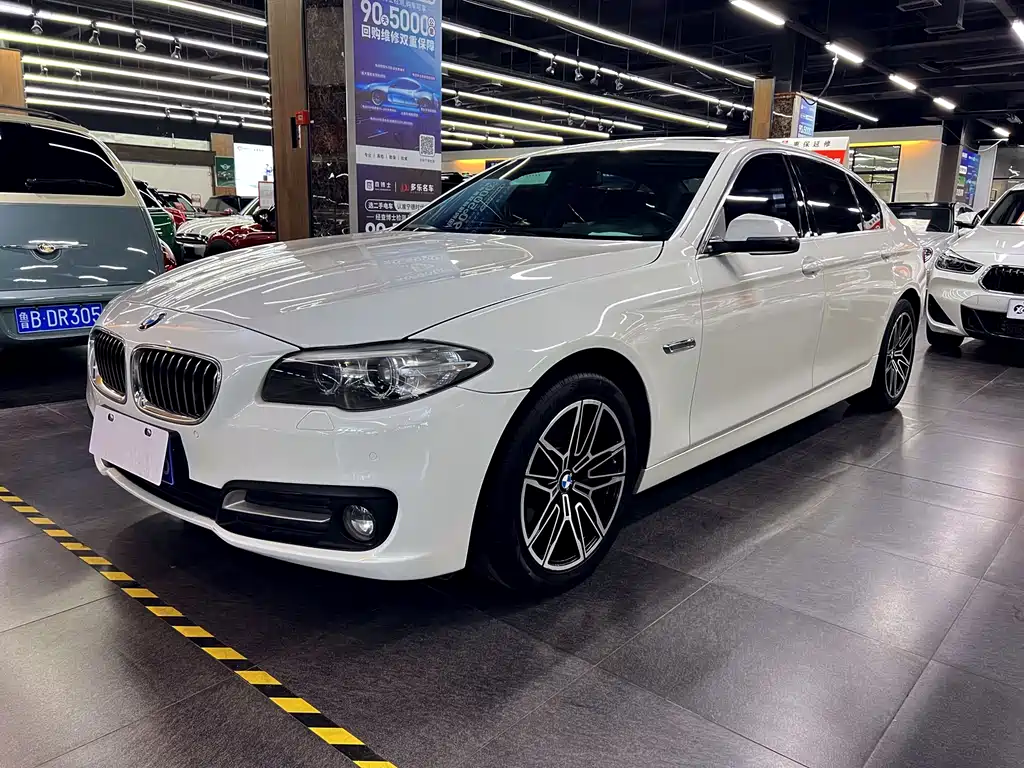 BMW 5 Series 5 2014 525Li Lead