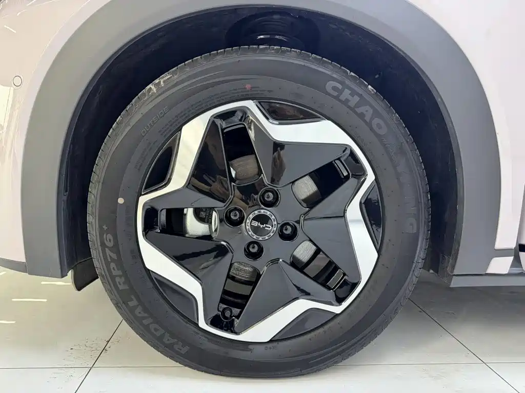 BYD Dolphin — миниатюра 4