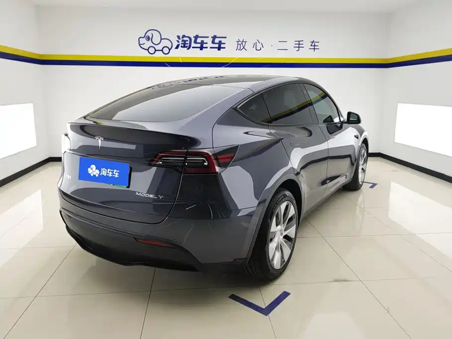 Tesla Model Y — миниатюра 3
