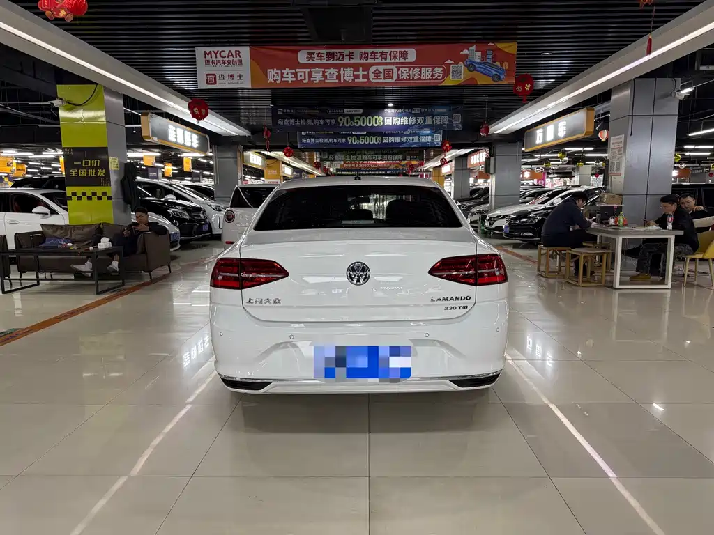 Volkswagen Lamando — миниатюра 8