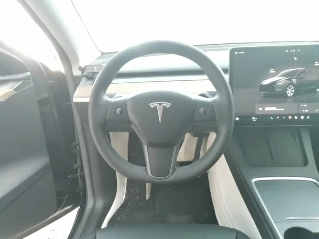 Tesla Model Y — миниатюра 11