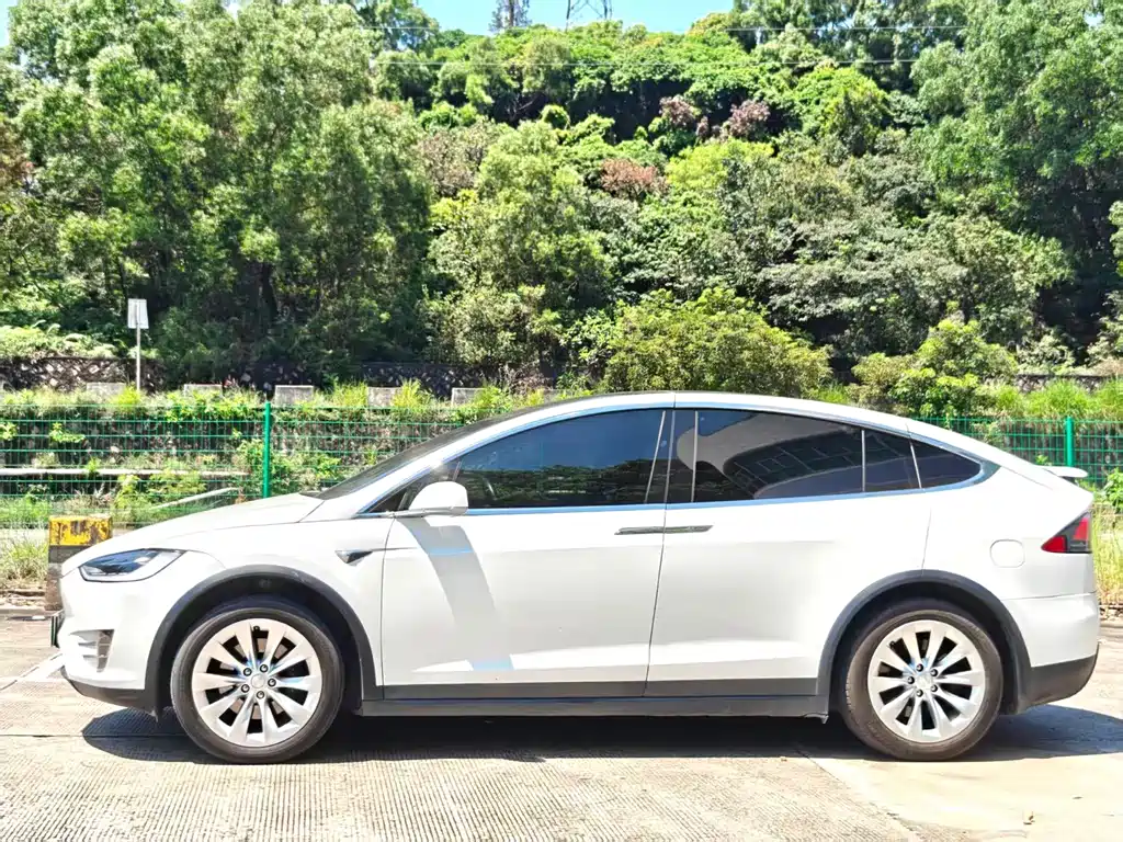 Tesla Model X — миниатюра 12