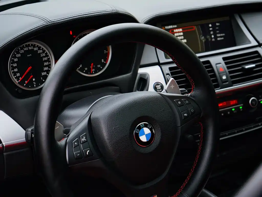 BMW X6 M 2010 X6 M