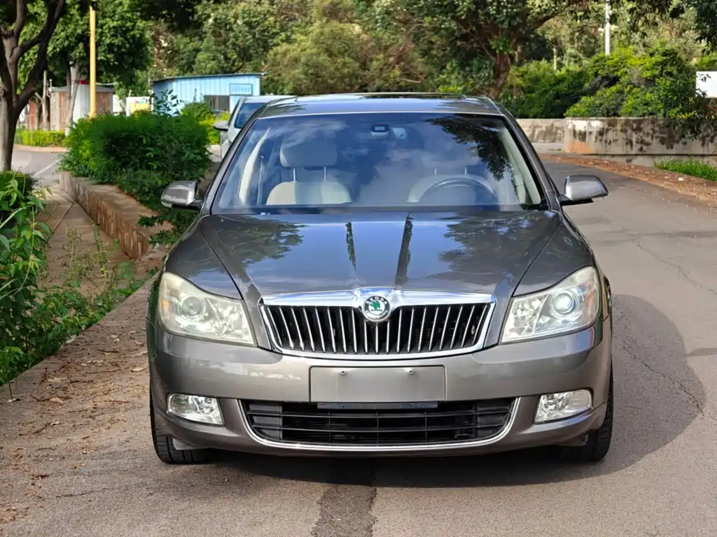 Skoda Octavia — миниатюра 2
