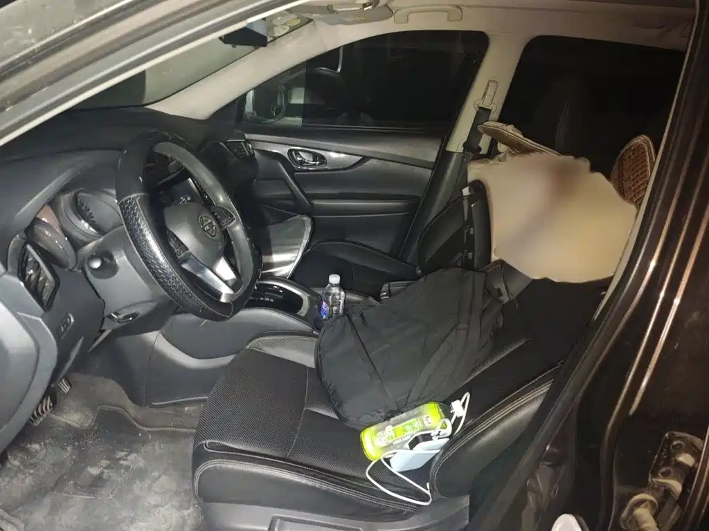 Nissan X-Trail — миниатюра 8
