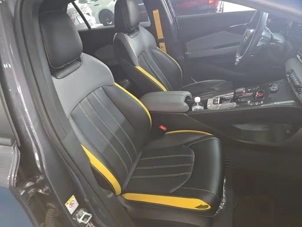 GAC Motor Shadow Leopard — миниатюра 25