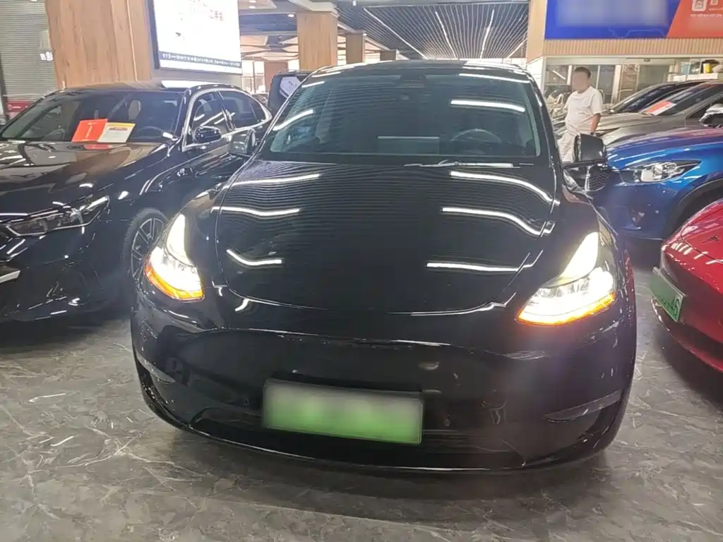 Tesla Model Y — миниатюра 3