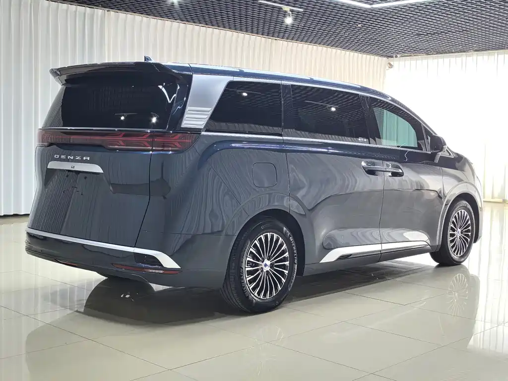 Denza Denza D9 — миниатюра 5