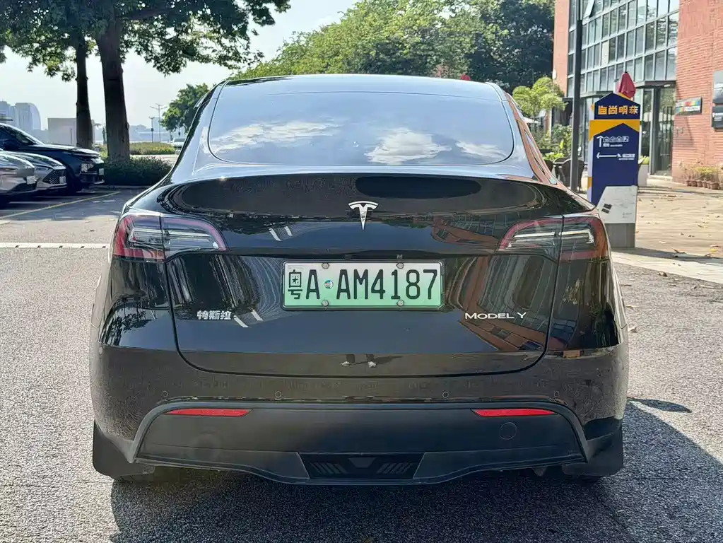 Tesla Model Y — миниатюра 4