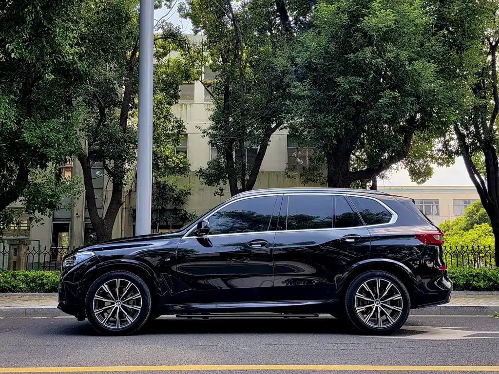 BMW X5 (Import) — миниатюра 5