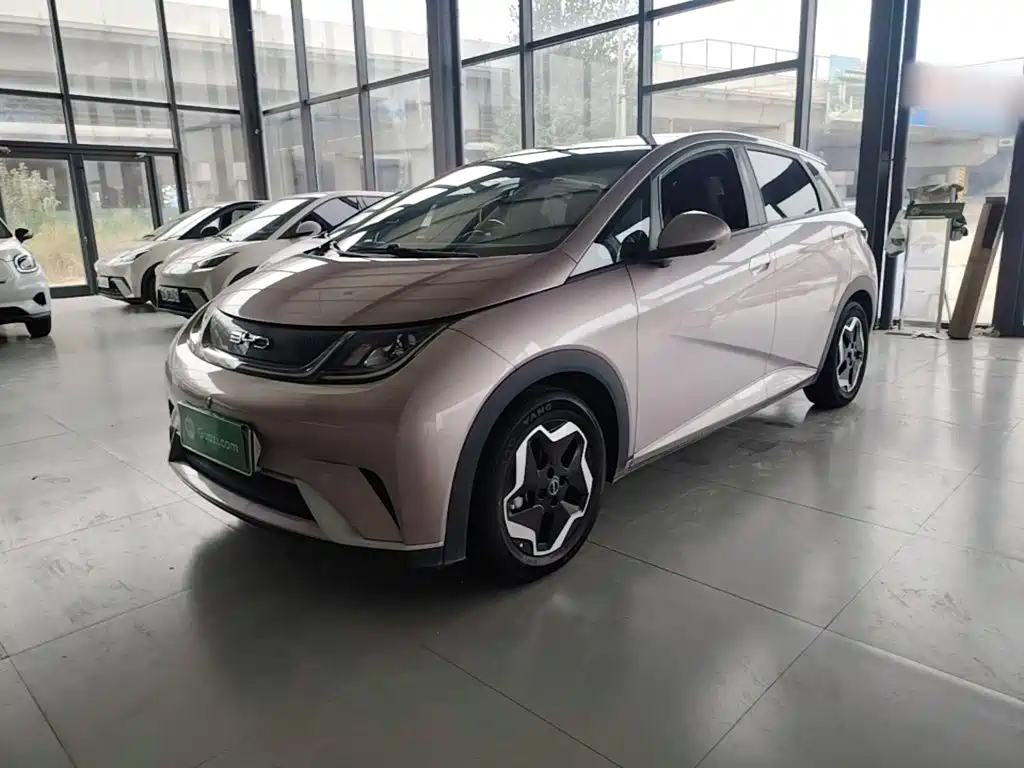 BYD Dolphin — миниатюра 2