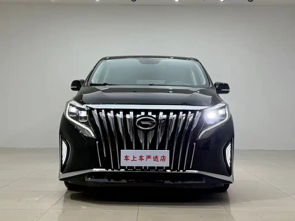 GAC Motor Trumpchi M8 — миниатюра 2