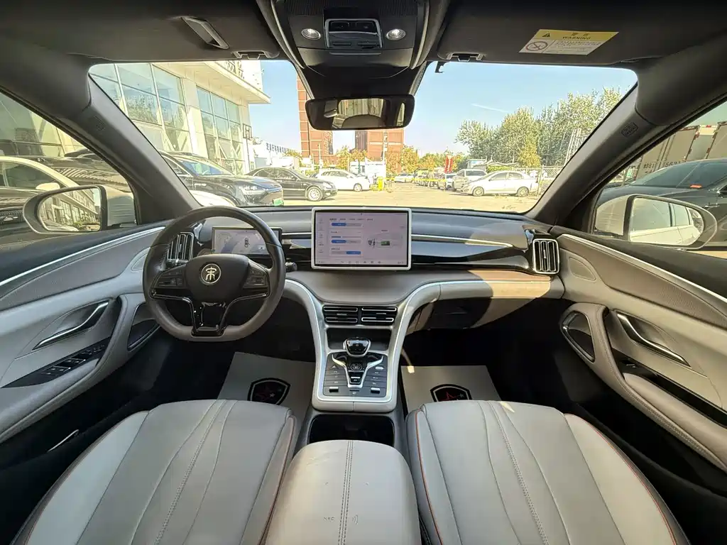 BYD Pro New Energy — миниатюра 8
