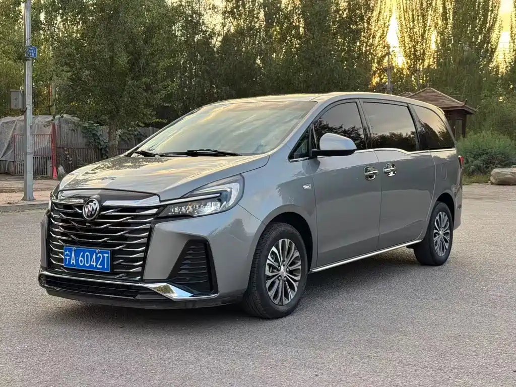 Buick GL8 — миниатюра 3