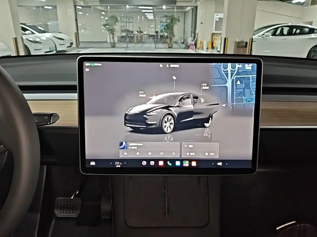Tesla Model Y — миниатюра 13