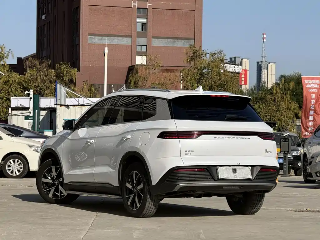 BYD Pro New Energy — миниатюра 15
