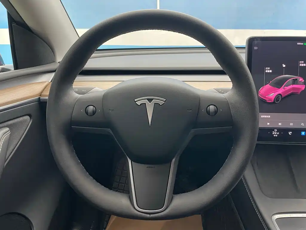 Tesla Model Y — миниатюра 21