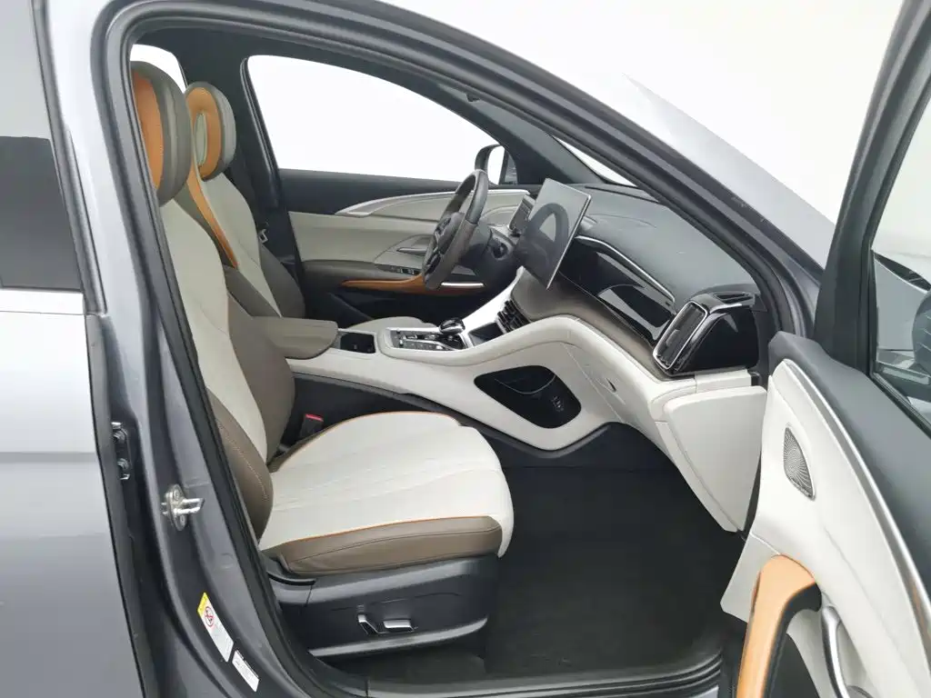 BYD Pro New Energy — миниатюра 23