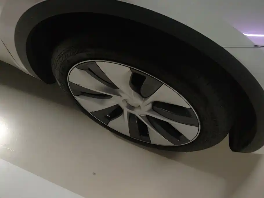 Tesla Model Y — миниатюра 6