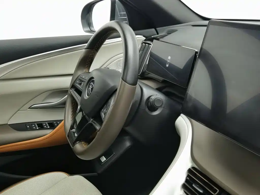 BYD Pro New Energy — миниатюра 22