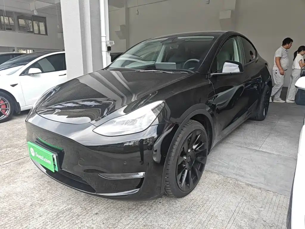 Tesla Model Y — миниатюра 2