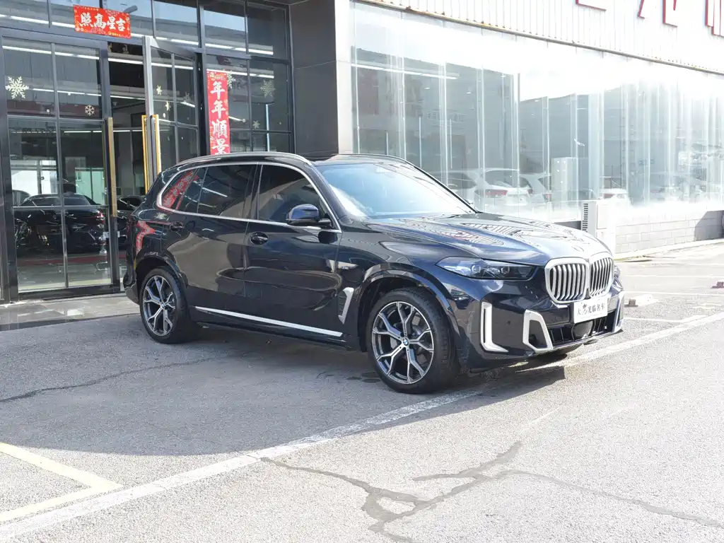 BMW X5 — миниатюра 3