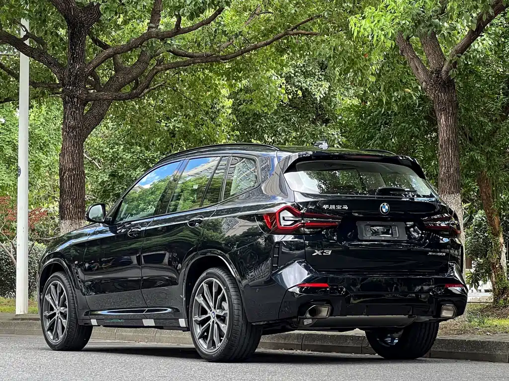 BMW X3 — миниатюра 6