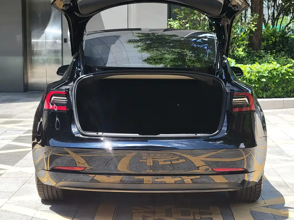 Tesla Model 3 — миниатюра 18